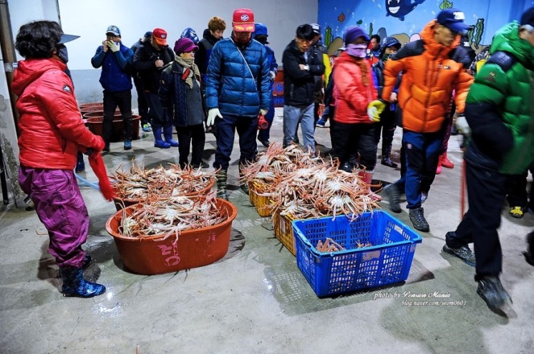 대게 경매체험(구산마을)