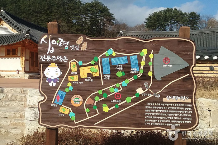 금강송군락지