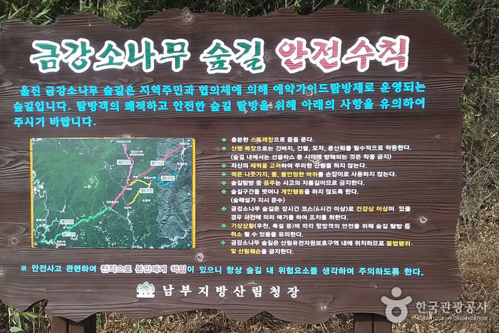 금강송군락지