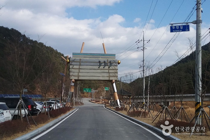 금강송군락지