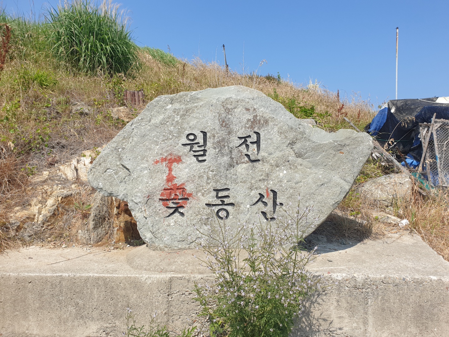 월전항 (월전방파제)