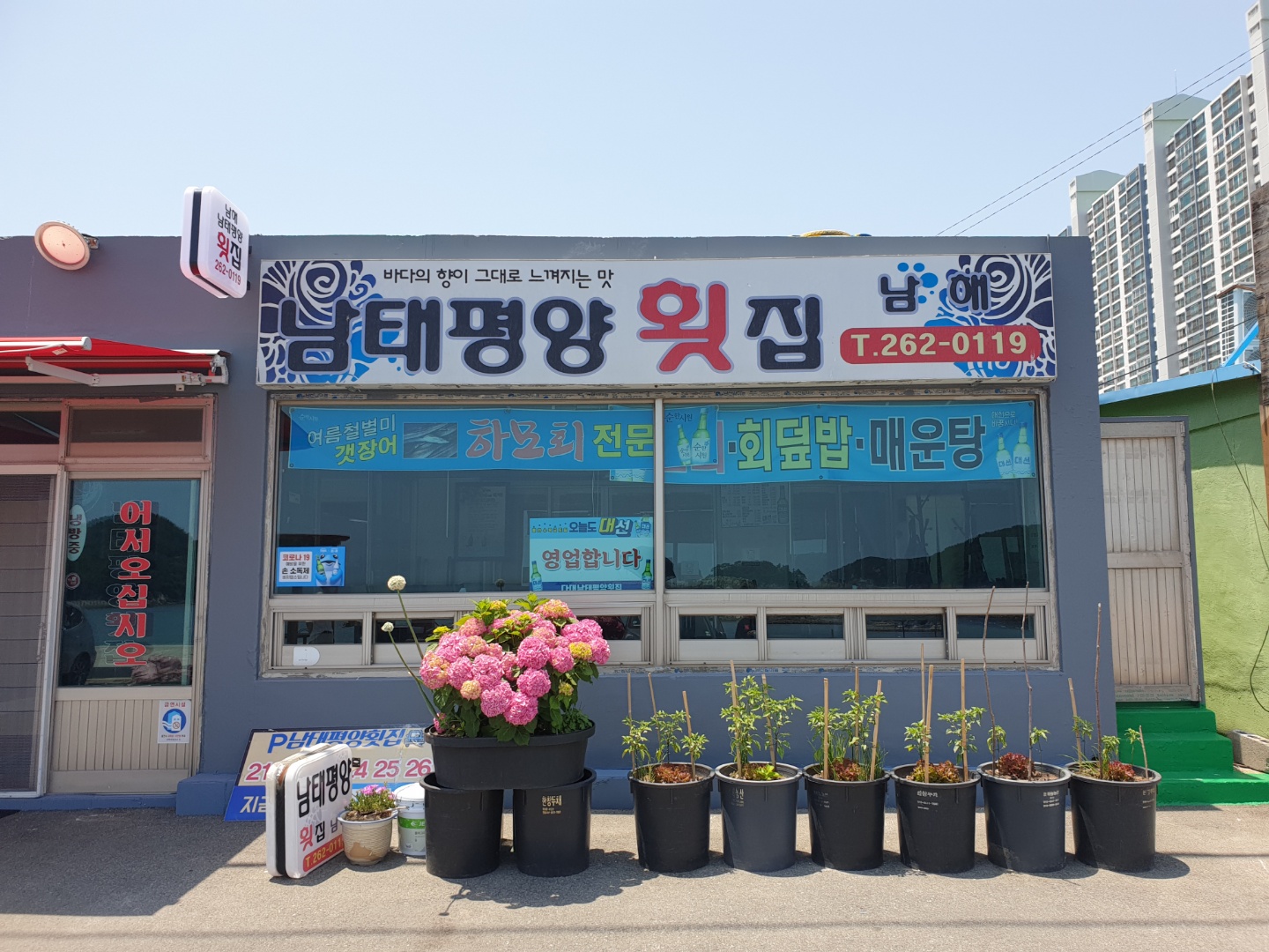 다대포생선회먹거리타운