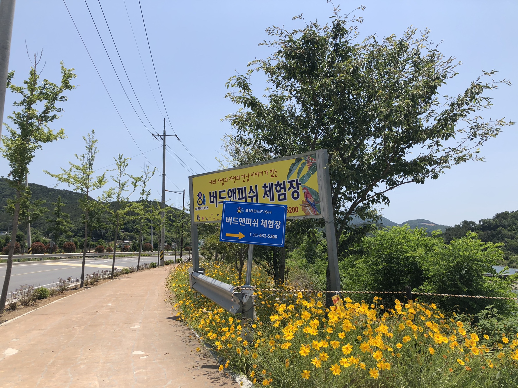 버드앤피쉬체험장