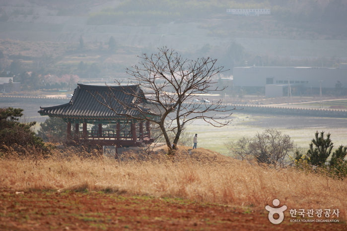 장도 청해진장보고유적