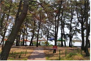 남열해돋이 해수욕장