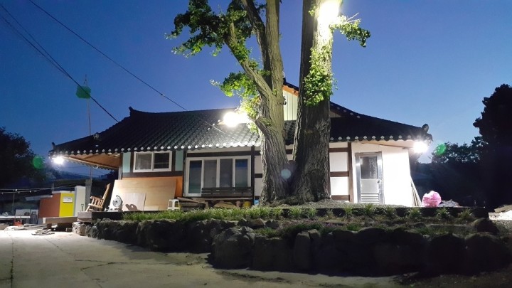 은행나무민박