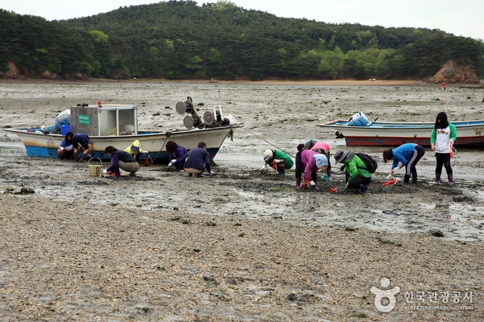 [중리마을]중리어촌체험마을