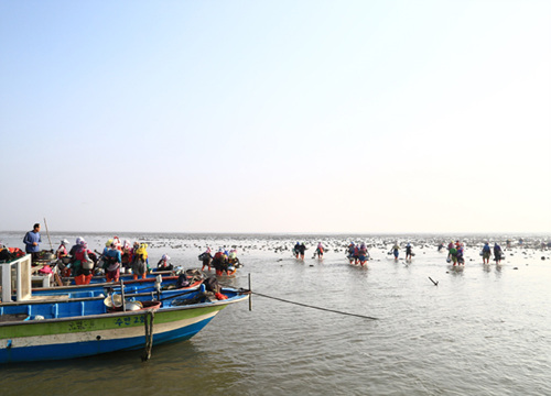 [중리마을]중리어촌체험마을