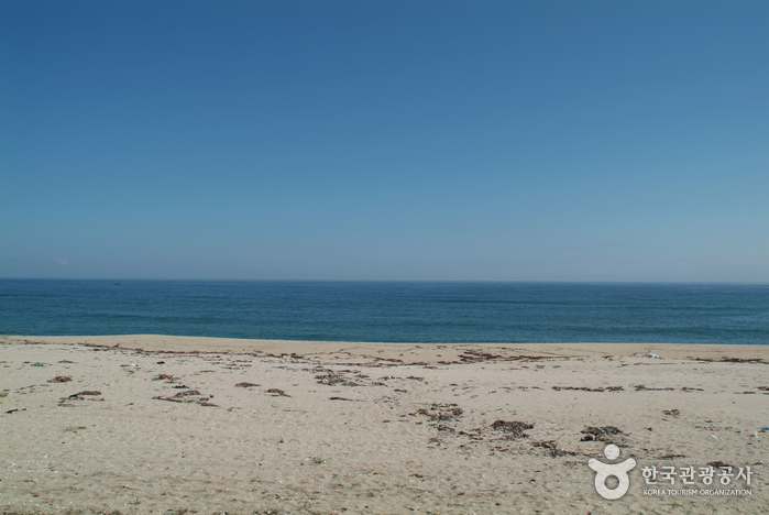 사천 해수욕장