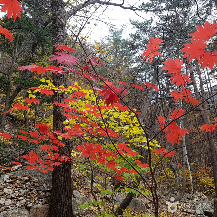 설악산국립공원