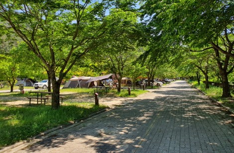 소금강자동차야영장