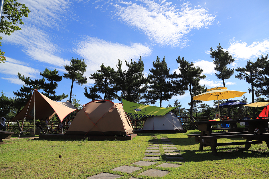 속초 국민여가캠핑장