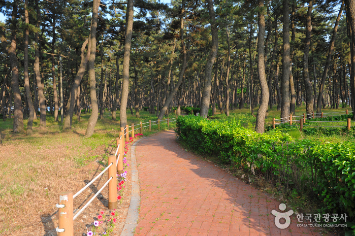 연곡해변 경관도로 (강릉바우길)