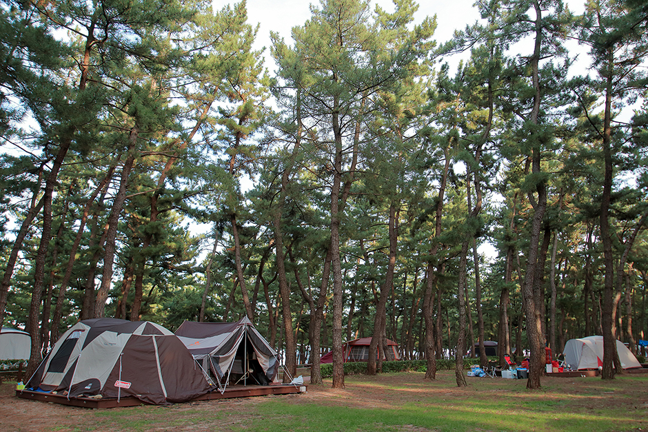 연곡해변 경관도로 (강릉바우길)