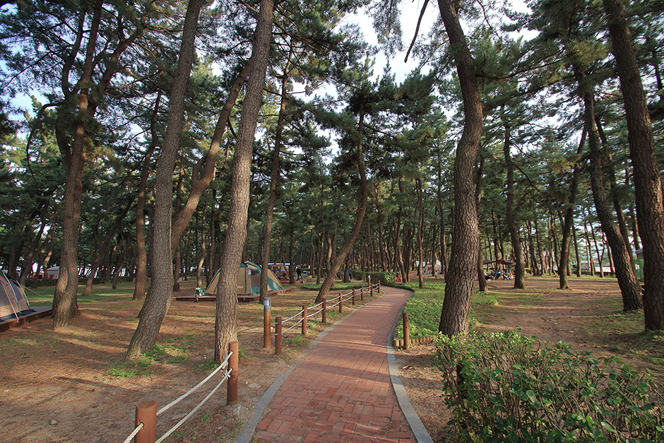 연곡해변 경관도로 (강릉바우길)