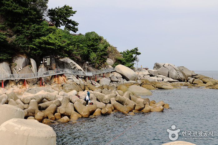 인구항 (죽도항)