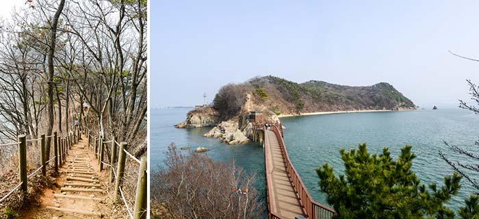 구봉도해솔길