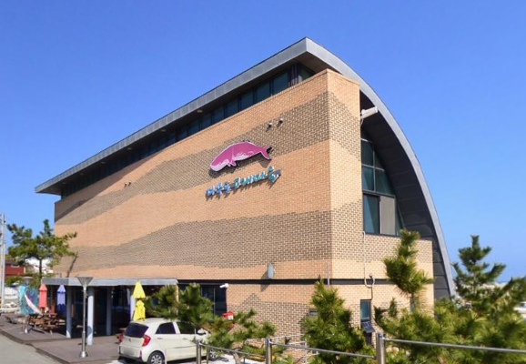 다무포 고래마을