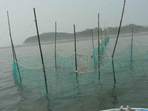 경기 화성 국화리마을