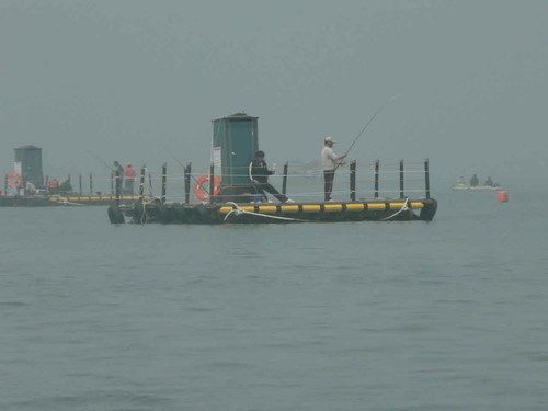 경기 화성 국화리마을