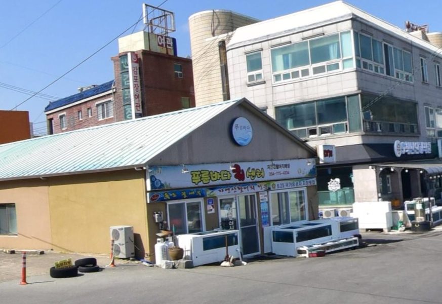 푸른바다회센타