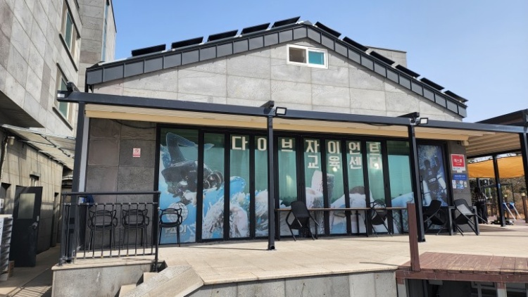 다이브자이언트 제주