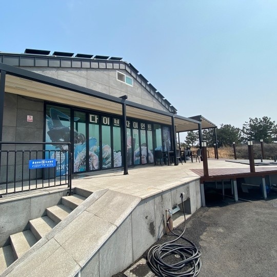 다이브자이언트 제주